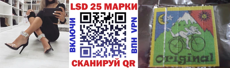 как найти наркотики  Полярный  KRAKEN зеркало  Марки 25I-NBOMe 1500мкг 