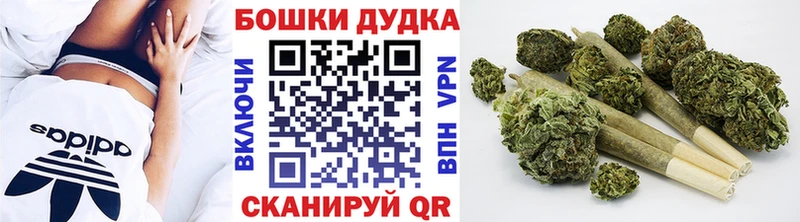 Каннабис SATIVA & INDICA Полярный